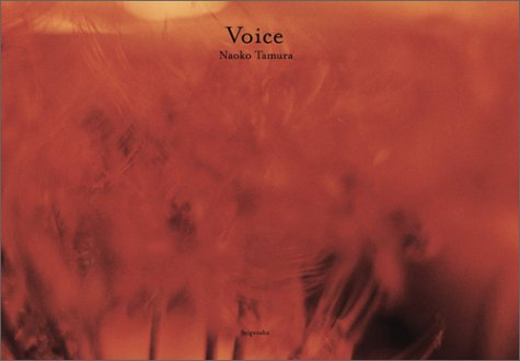 Stock image for Tamura Naoko - Voice for sale by GF Books, Inc.