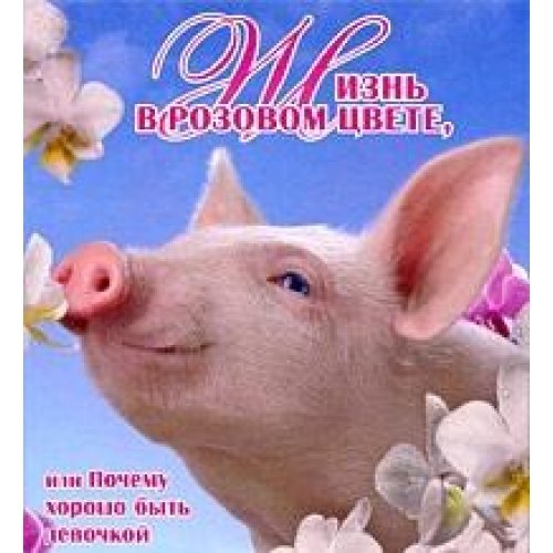 9785170564507: Pretty in Pink: Why it's Good to Be a Girl! / Zhizn v rozovom tsvete, ili Pochemu horosho byt devochkoy (In Russian)