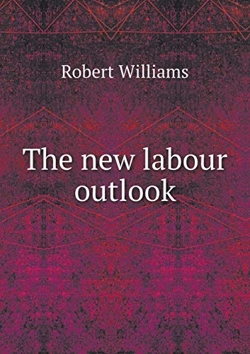 9785519476317: The new labour outlook