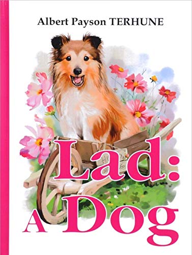 Stock image for Lad: A Dog for sale by ThriftBooks-Atlanta
