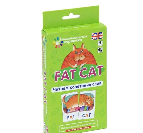 Stock image for Fat Cat. Chitaem sochetaniya slov. Nabor kartochek for sale by medimops