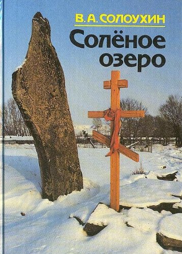 9785828600403: Solënoe ozero (Russian Edition)