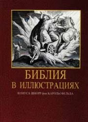 9785855241730: Bibliya v illyustratsiyakh