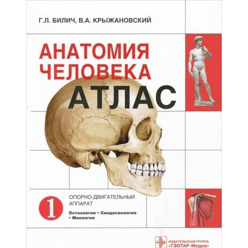 Anatomiya cheloveka. Atlas. V 3 tomah. Tom 1. Oporno-dvigatelnyy apparat:  9785970422090 - AbeBooks