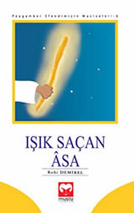 Beispielbild fr Isik Sacan Asa zum Verkauf von medimops