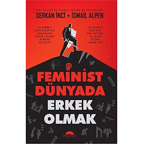 Stock image for Feminist Dnyada Erkek Olmak for sale by medimops