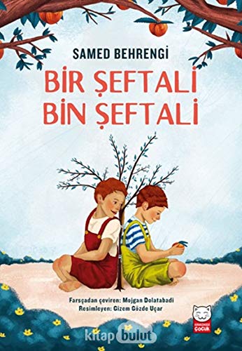 Stock image for Bir Seftali Bin Seftali for sale by Buchpark