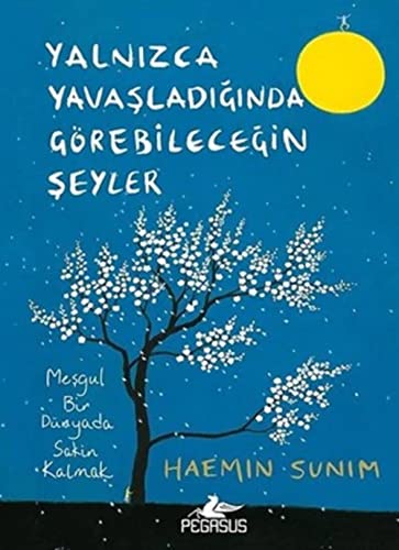 Beispielbild fr Yalnizca Yavasladiginda Grebilecegin Seyler: Mesgul Bir Dnyada Sakin Kalmak: Me?gul Bir Dnyada Sakin Kalmak zum Verkauf von medimops