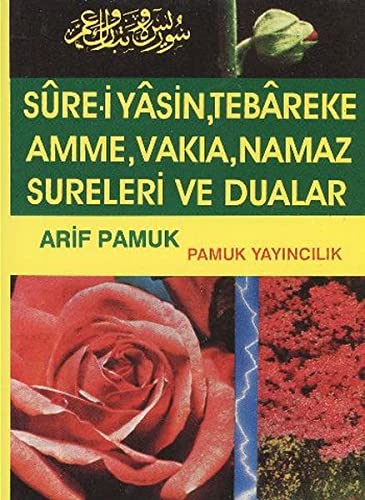 Beispielbild fr Sure-i Yasin, Tebareke, Amme, Namaz Sureleri ve Dualar Yas-015 zum Verkauf von medimops