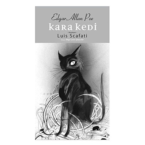 Stock image for Kara kedi. Illustrated by Luis Scafati. for sale by BOSPHORUS BOOKS