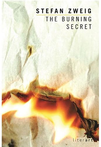 9786059919005: The Burning Secret