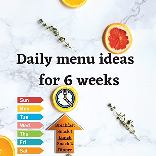 Stock image for Daily menu ideas for 6 weeks for sale by PBShop.store US