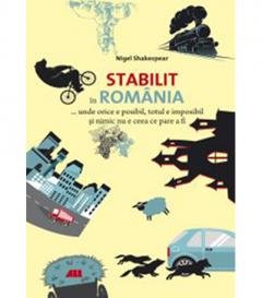 Beispielbild fr STABILIT IN ROMANIA zum Verkauf von medimops