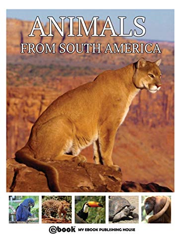 Stock image for Animals from South America for sale by Buchpark