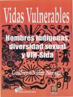 Imagen de archivo de VIDAS VULNERABLES HOMBRES INDIGENAS DIVERSIDAD SEXUAL VIH a la venta por Iridium_Books