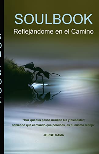 9786070076107: Soulbook: Reflejndome en el Camino (Spanish Edition)