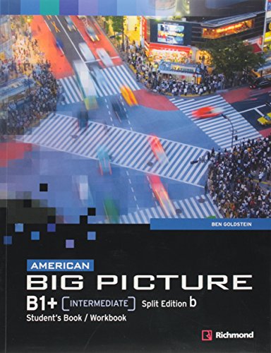 Imagen de archivo de livro american big picture students book richmond b909 a la venta por LibreriaElcosteo