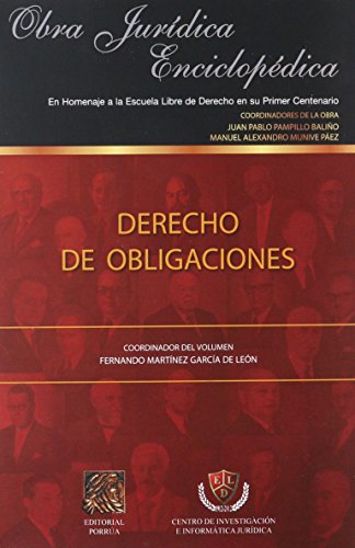 Imagen de archivo de DERECHO DE OBLIGACIONES [Paperback] by PAMPILLO BALIO, JUAN PABLO a la venta por Iridium_Books