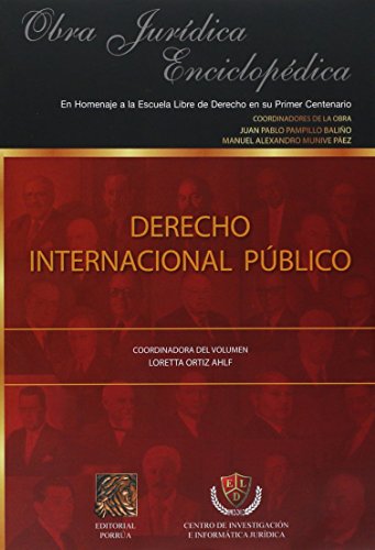 Imagen de archivo de DERECHO INTERNACIONAL PUBLICO [Paperback] by PAMPILLO BALIO, JUAN PABLO a la venta por Iridium_Books