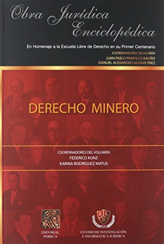Imagen de archivo de DERECHO MINERO [Paperback] by PAMPILLO BALIO, JUAN PABLO a la venta por Iridium_Books
