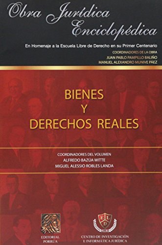 Imagen de archivo de BIENES Y DERECHOS REALES [Paperback] by PAMPILLO BALIO, JUAN PABLO a la venta por Iridium_Books