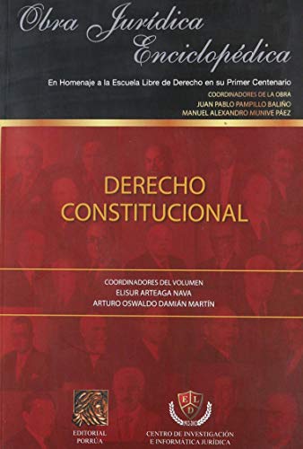 Imagen de archivo de DERECHO CONSTITUCIONAL [Paperback] by PAMPILLO BALIO, JUAN PABLO a la venta por Iridium_Books
