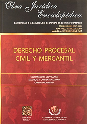 Imagen de archivo de DERECHO PROCESAL CIVIL Y MERCANTIL [Paperback] by PAMPILLO BALIO, JUAN PABLO a la venta por Iridium_Books