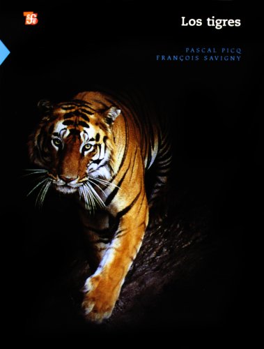 9786071600639: Los tigres/ The Tigers (Ciencia Y Tecnologia)
