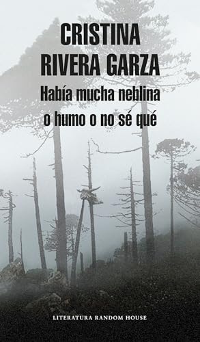 Imagen de archivo de Haba Mucha Neblina O Humo O No S Qu Caminar Con Juan Rulfo / There Was a Lot of Fog, or Smoke, or I'm Not Sure What: Walking with Juan Rulfo a la venta por ThriftBooks-Atlanta