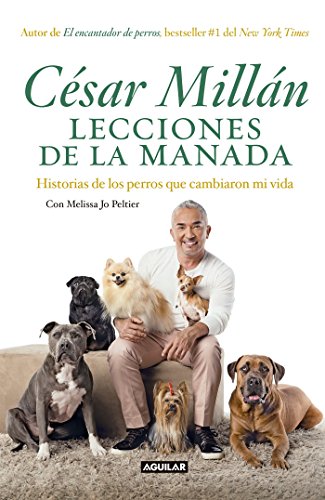 Stock image for Lecciones de la Manada / Cesar Millan's Lessons from the Pack: Historias de Los Perros Que Cambiaron Mi Vida for sale by ThriftBooks-Dallas