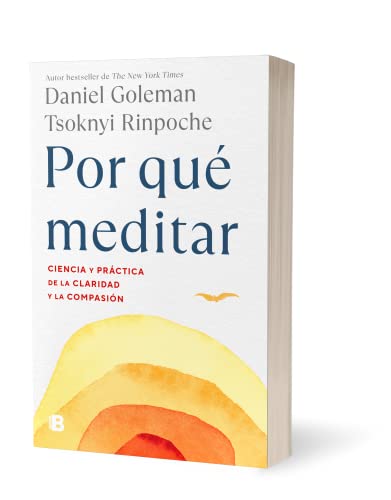 Stock image for Por Qu Meditar / Why We Meditate for sale by Blackwell's