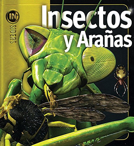 Stock image for Insectos y aranas/ Insects and SpiderTait, Noel for sale by Iridium_Books