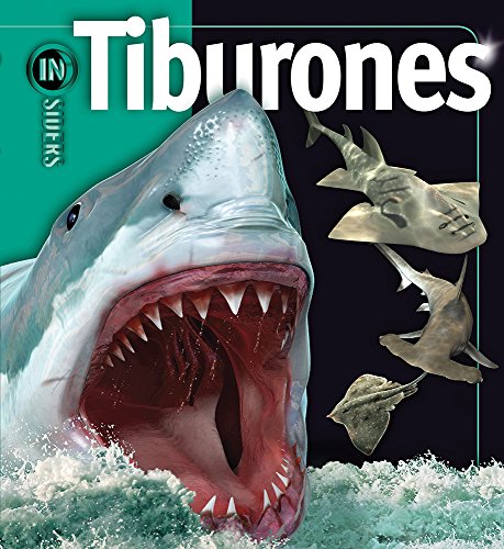 Stock image for Tiburones / Sharks (Insiders) (Spanish Edition) [Hardcover] by McMillan, Beve. for sale by Iridium_Books