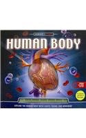 El Cuerpo Humano Aprendizaje en Accion/ Human Body Learning in Action (Spanish Edition) (9786074040821) by Claybourne, Anna