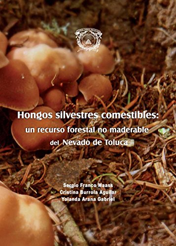 Stock image for HONGOS SILVESTRES COMESTIBLES: UN RECURSO FORESTAL NO MADERABLE DEL NEVADO DE TOLUCA. for sale by Iridium_Books