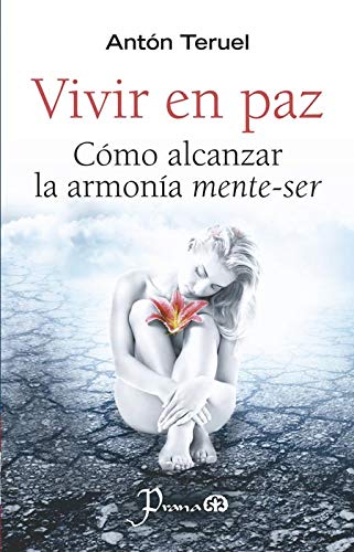 Stock image for VIVIR EN PAZ [Paperback] by ANTN TERUEL for sale by Iridium_Books