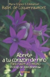 Imagen de archivo de TEORIA DE CONJUNTOS LOGICA Y TEMAS AFINES I a la venta por Iridium_Books