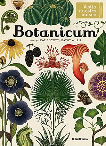 9786075270579: Botanicum (Spanish Edition)