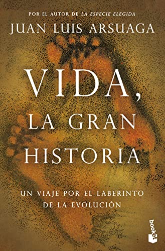 Stock image for VIDA, LA GRAN HISTORIA for sale by Libreria El Dia