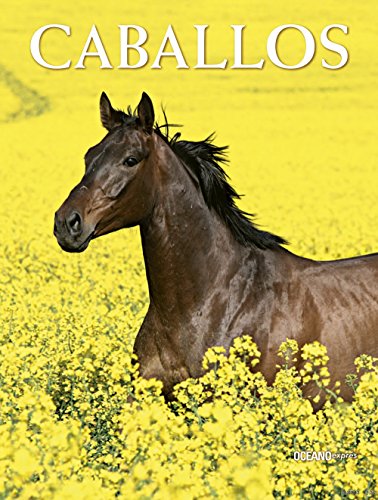 Beispielbild fr Caballos zum Verkauf von Iridium_Books