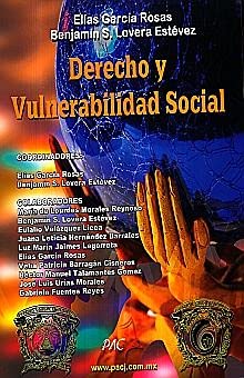 Stock image for DERECHO Y VULNERABILIDAD SOCIAL for sale by Iridium_Books