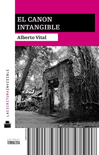 Imagen de archivo de El canon intangible Alberto Vital a la venta por Iridium_Books