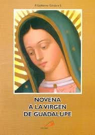 Stock image for Novena a La Virgen de Guadalupe for sale by Iridium_Books