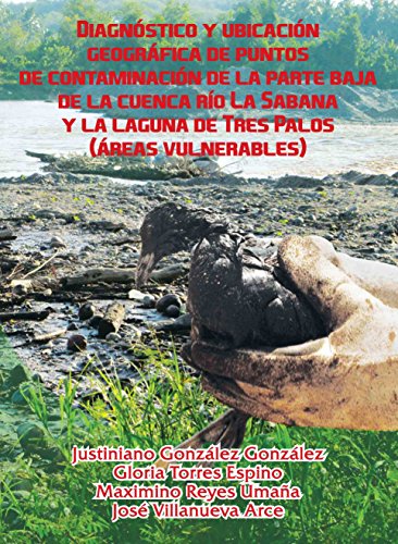 Stock image for Diagnstico y ubicacin geogrfica de puntos de contaminacin de la parte baja de la cuenca for sale by Iridium_Books