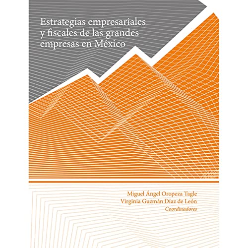 Stock image for ESTRATEGIAS EMPRESARIALES Y FISCALES DE LAS GRANDES EMPRESAS EN MEXICO for sale by KALAMO LIBROS, S.L.