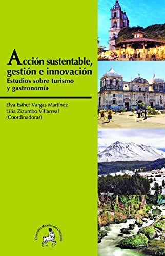 Stock image for ACCIN SUSTENTABLE: GESTIN E INNOVACIN for sale by Iridium_Books