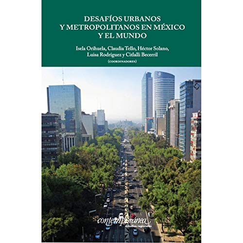 Imagen de archivo de DESAFIOS URBANOS Y METROPOLITANOS EN MEXICO Y EL MUNDO a la venta por KALAMO LIBROS, S.L.