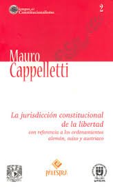 Stock image for LA JURISDICCION CONSTITUCIONAL DE LA LIBERTAD for sale by MARCIAL PONS LIBRERO