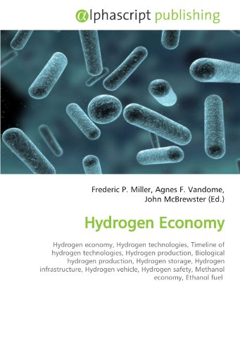 9786130020293: Hydrogen Economy