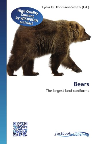 9786130131364: Bears: The largest land caniforms